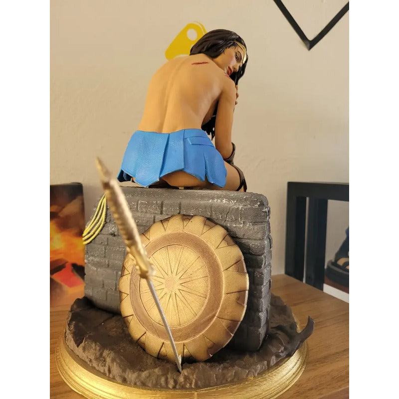 Figura Wonder Woman Mujer Maravilla Gal Gadot Sin Traje