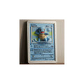 Cuadro De Squirtle Azul Claro
